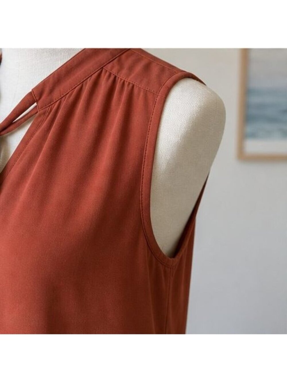 Rust Puff Sleeve Top - Picture 5 of 6